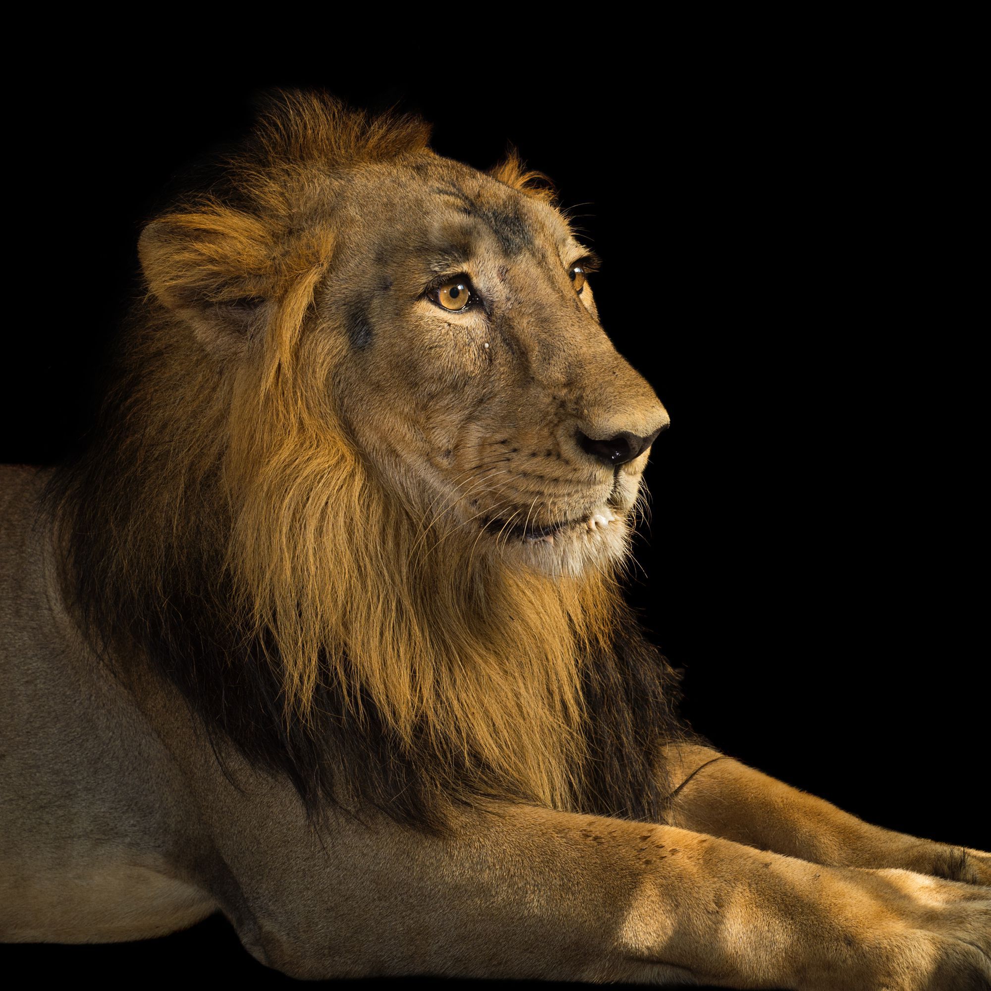 f9f634ee-ebba-40e8-bae5-dba8beb04fc9_c1027-0-5117-4090_r2000x2000