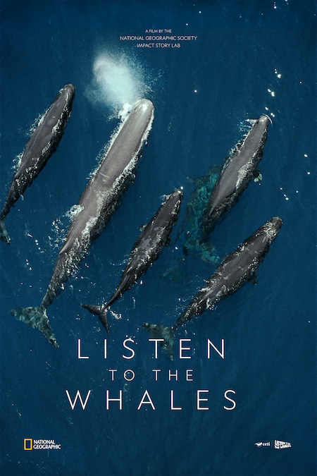 Listen to the Whales - movie poster